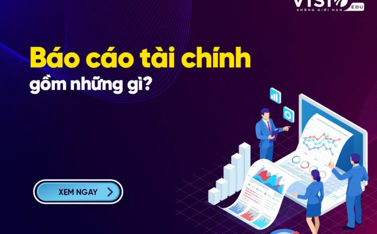  Báo cáo Tài chính gồm những gì?