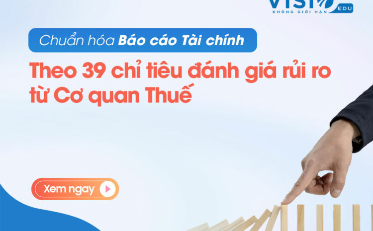  Xử lý rủi ro Báo cáo Tài chính theo 39 chỉ tiêu từ cơ quan Thuế