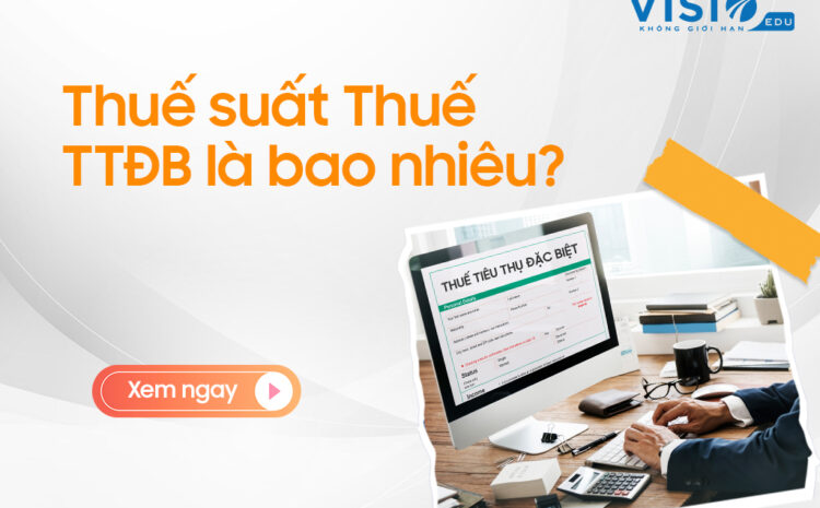  Mức thuế suất thuế tiêu thụ đặc biệt mới nhất