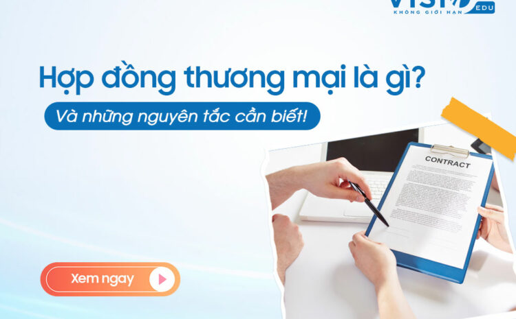  Hợp đồng thương mại là gì? Các quy định liên quan